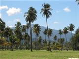 Balneario de Luquillo - LUQUILLO